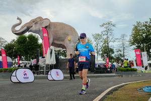 BIB: 
                            <button type="button" onclick="openModal(26528819)" class="btn btn-primary btn-sm float-right btn-popup" data-toggle="modal" data-target=".modal-high-quality">
                        <i class="fas fa-shopping-cart"></i> Add to Cart
                    </button>
                                            <button type="button" onclick="isThisMe(26528819, true)" class="btn btn-success btn-sm float-right btn-popup btn-isme hidden" data-toggle="tooltip" data-placement="bottom" title="นี่คือรูปของคุณใช่ไหม คลิกที่นี่เพื่อเอาเข้าอัลบั้ม">
                        <i class="fas fa-plus"></i> Add to album
                    </button>
                    <button type="button" onclick="isThisMe(26528819, false)" class="btn btn-warning btn-sm float-right btn-popup btn-isnotme hidden">
                        <i class="fas fa-ban"></i> Remove from album
                    </button>